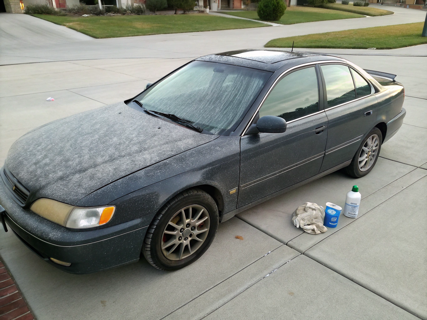 Ceramic Coating before detailing